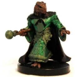 Dragonborn Elementalist - 12