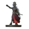 Drow Arachnomancer - 46 -Toy Model Sales 2024 UND046