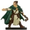 Male Human Druid - 17 -Toy Model Sales 2024 miniDnDPHB217